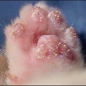 Meet your Posher, Janie